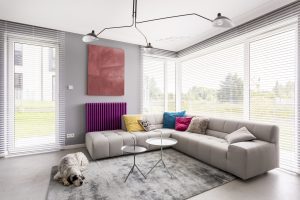 Living room with couch and dog laying on the floor | Featured image for The Most Cost Effective Window Coverings Blog by Cosmopolitan Shutters.